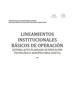 Lineamientos institucionales de operación