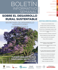 INFORMATIVO SEMANAL