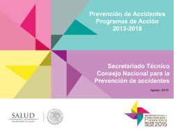 Prevención de Accidentes Programas de Acción 2013
