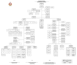 Secretaría de Cultura ORGANIGRAMA FUNCIONAL
