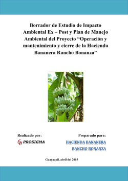 Borrador de Estudio de Impacto Ambiental Ex &ndash; Post y Plan de