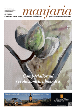 Descargar - Diario de Mallorca