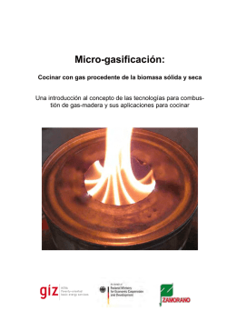 Micro-gasificación