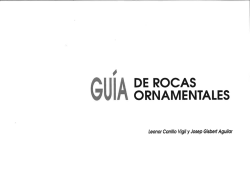 Guía de rocas ornamentales de la ciudad de Zaragoza