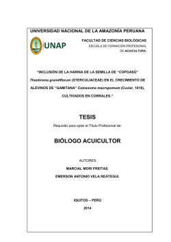 REDACCION TESIS CORREGIDO - Universidad Nacional de la