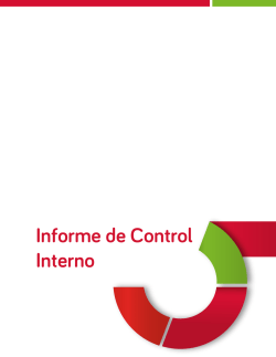 Informe de Control Interno