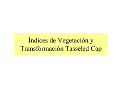 Índices de Vegetación y Transformación Tasseled Cap