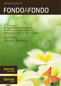 La figura del Depositario con la reforma del reglamento de