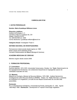 Currículum en extenso