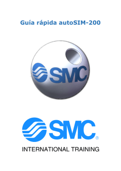 Gu&iacute;a r&aacute;pida autoSIM-200