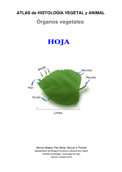 Descargar la hoja en pdf - Atlas de Histolog&iacute;a Vegetal y Animal