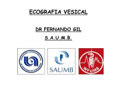 Diapositiva 1