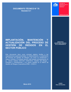 DOCUMENTO TECNICO 23 - Consejo de Auditor&iacute;a Interna General