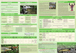 Tríptico explicativo pesca 2015,0 (4.689 kbytes)