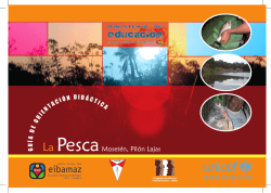 la pesca moseten pilon de lajas