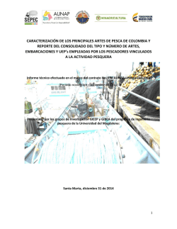 CARACTERIZACI&Oacute;N DE LOS PRINCIPALES ARTES DE PESCA