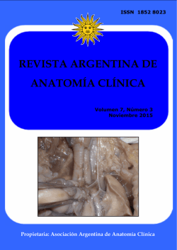 Español - Inglés - Revista Argentina de Anatomía Clínica