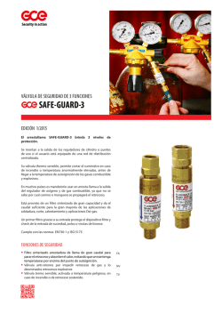 gce-safe-guard-3