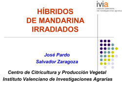 Variedades híbridos de mandarina irradiados. José Luis Pardo