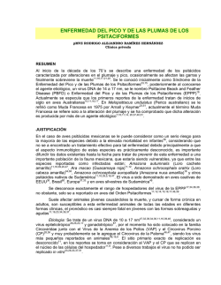 enfermedad del pico y de las plumas de los psitaciformes