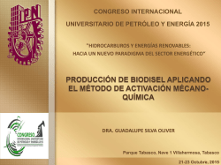 Biodiesel - Copa Petrolera 2015