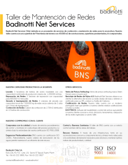 Taller de Mantención de Redes Badinotti Net Services