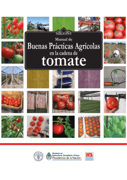 Manual de Buenas Practicas Agricolas en la Cadena del Tomate.