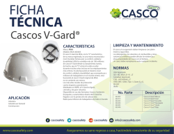 Cascos V-Gard® MSA-463403