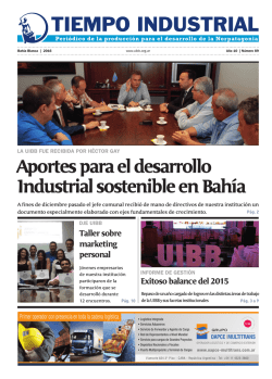tiempo industrial n°89- año 10 - Union Industrial Bahía Blanca