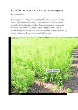 CEDRÓN PARAGUAY Y KAPI`I : bajo sistema orgánico