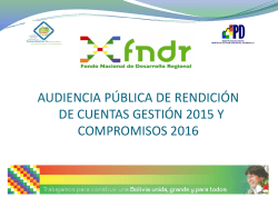 Audiencias Públicas - Fondo Nacional de Desarrollo Regional