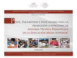 Perfil, Parámetros e Indicadores para la promoción a funciones de
