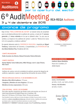 Avance Programa 6º Audit Meeting