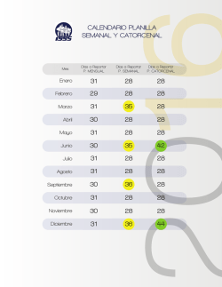 Días a reportar por período 2016
