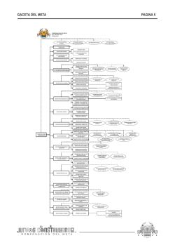 ORGANIGRAMA GOBERNACION META