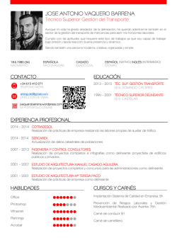 CV J. Vaquero Gestor de Tr&aacute;fico