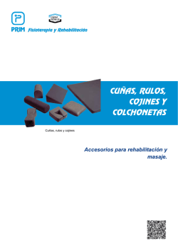 Descargar PDF