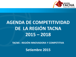 AGENDA DE COMPETITIVIDAD DE LA REGIÓN TACNA