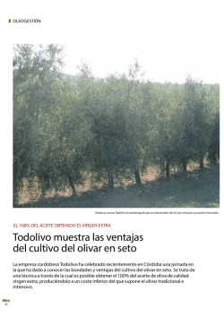Todolivo muestra las ventajas del cultivo del olivar en seto