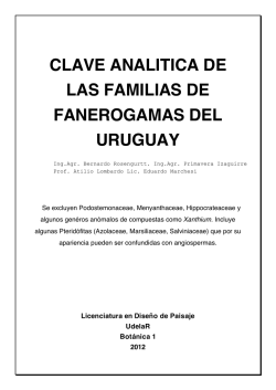 clave analitica de las familias de fanerogamas del uruguay