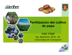 Fertilizacion Papas