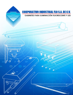 Versión PDF - Corporativo FLO