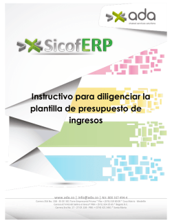 Instructivo para diligenciar la plantilla de presupuesto de