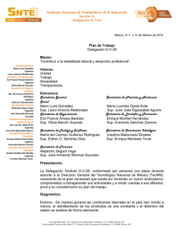 Plan de Trabajo Delegacional - Sección 61, Delegación sindical DV