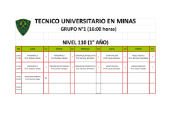 T.U MINAS