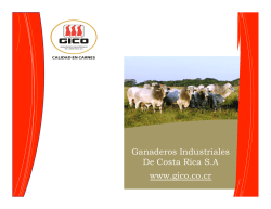 Espanol - GICO Ganaderos Industriales de Costa Rica