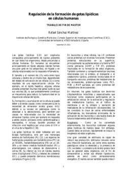 Regulación de la formación de gotas lipídicas en células humanas