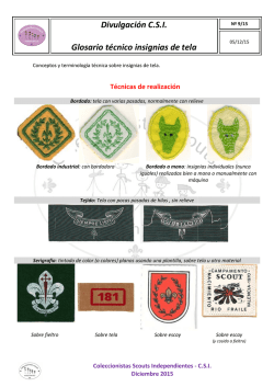 FD9 Glosario tela - Coleccionistas insignias scout