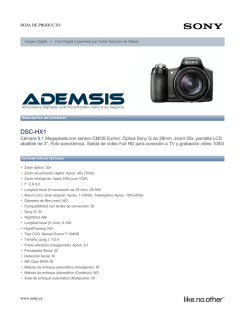 DSC-HX1 - ademsis.com