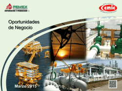 Pemex Exploraci&oacute;n y Producci&oacute;n, Oportunidades